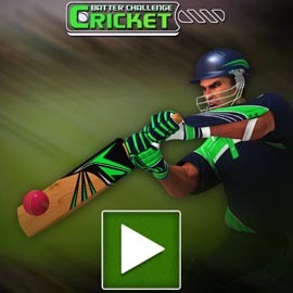 Cricket Batter Challenge Game