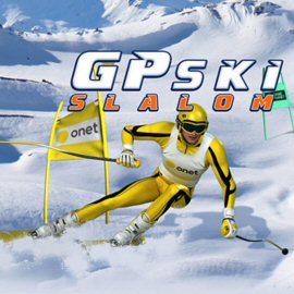 Gp Ski Slalom